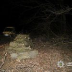 Замість прибутку від дубів — вирок: на Одещині суд покарав “чорних лісорубів”