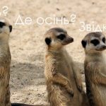 Одеська іронія: останній безкоштовний день літа — від завтра все платно
