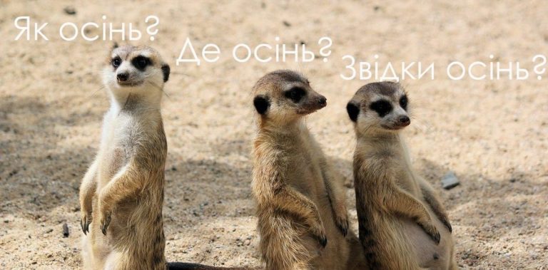 Одеська іронія: останній безкоштовний день літа — від завтра все платно