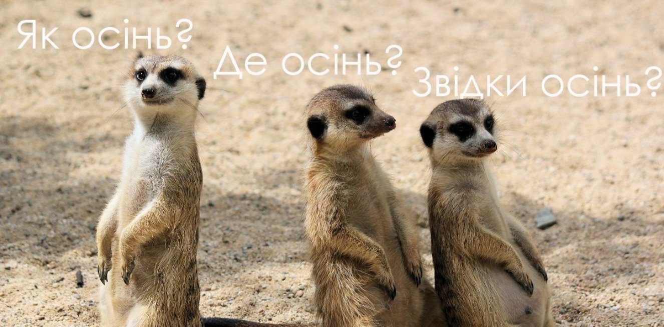 Одеська іронія: останній безкоштовний день літа — від завтра все платно