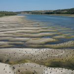 Майже 30% малих річок на Одещині зникли: куди дівається вода