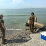 Екологи встановили, чи скидають каналізаційні стоки в море біля Одеси — результати перевірки