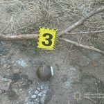 На Одещині п’яна військовослужбовиця зі СЗЧ кинула три гранати в подвір’я сусідів і спричинила вибух