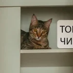Одеський гумор: субота без планів — найкращий план