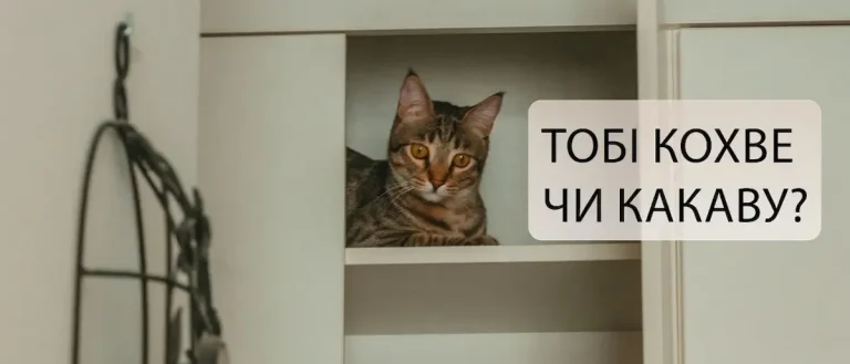 Одеський гумор: субота без планів — найкращий план