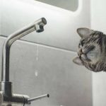 У Приморському районі Одеси раптово припинилося водопостачання — що сталося