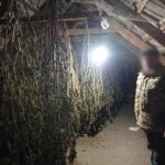 В Одеській області затримали трьох чоловіків: вилучено понад 3 кг канабісу та PVP