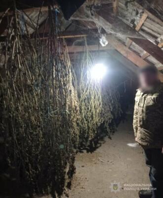 В Одеській області затримали трьох чоловіків: вилучено понад 3 кг канабісу та PVP