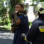 В Одесі рятувальники зняли з тополі кота, який провів там три дні (фото)