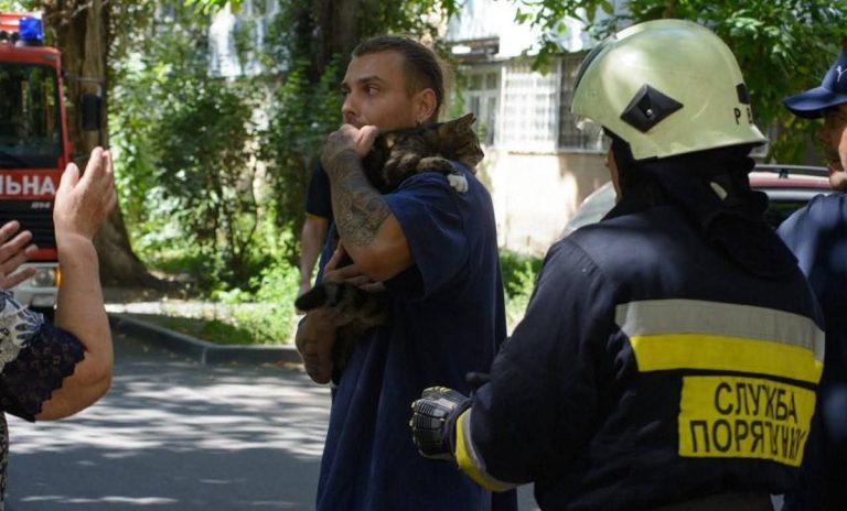 В Одесі рятувальники зняли з тополі кота, який провів там три дні (фото)