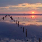 Куяльник під Одесою на межі зникнення — історія лиману, що колись приваблював усю Європу