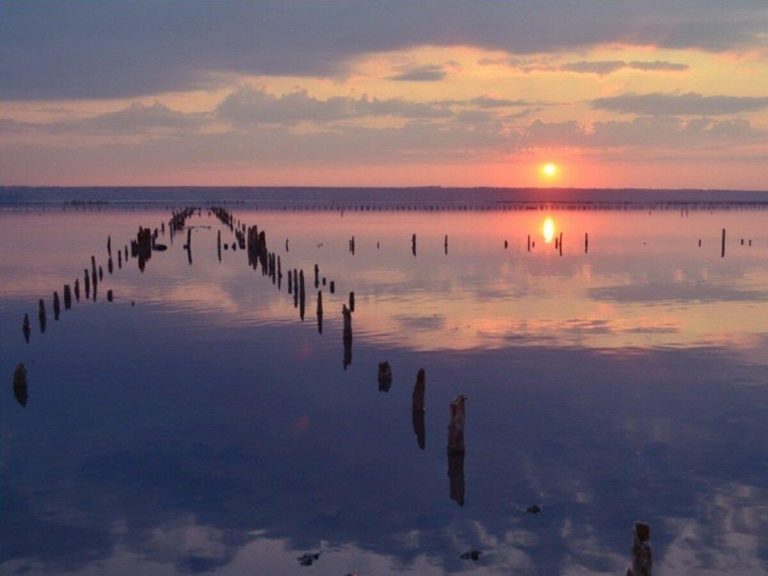 Куяльник під Одесою на межі зникнення — історія лиману, що колись приваблював усю Європу