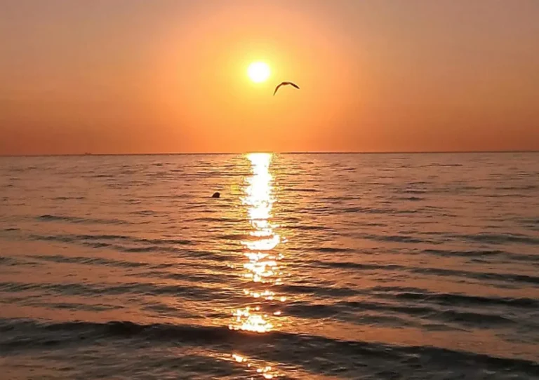 21 серпня біля Одеси: чи чекати теплої води в морі