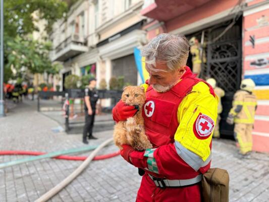 В Одесі з-під завалів витягли кота, який пережив російський удар
