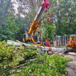 В Одесі ліквідували наслідки буревію — вітер повалив понад десяток дерев