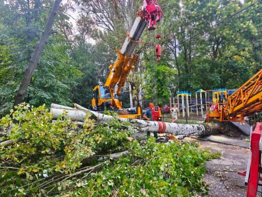 В Одесі ліквідували наслідки буревію — вітер повалив понад десяток дерев