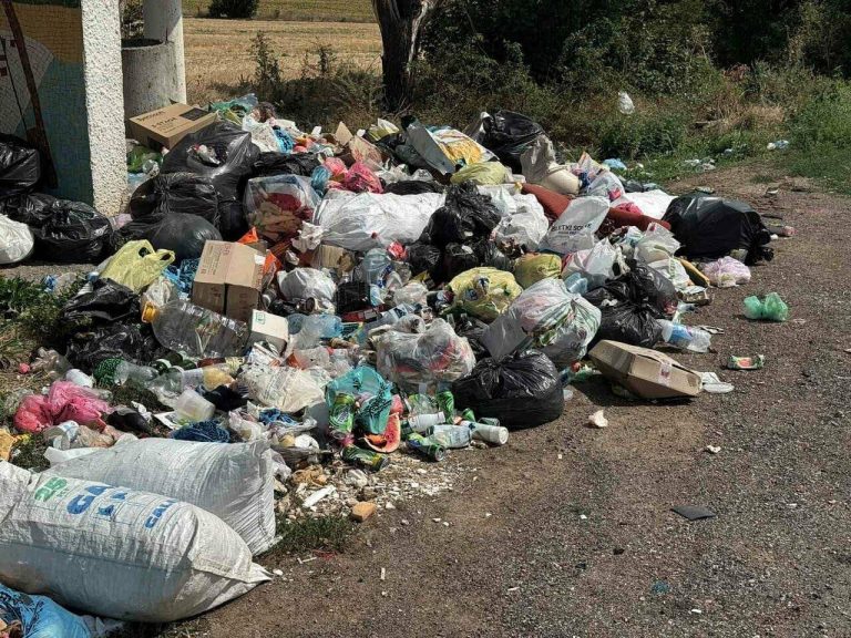 Дорожники прибрали стихійний смітник поблизу траси Київ–Одеса