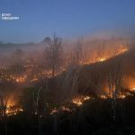 Пожежі на Одещині завдали збитків понад 3 мільярди гривень
