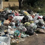 Поблизу зупинки на трасі Київ – Одеса ліквідували несанкціоноване сміттєзвалище