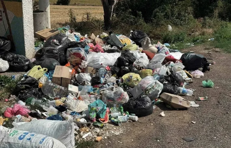 Поблизу зупинки на трасі Київ – Одеса ліквідували несанкціоноване сміттєзвалище