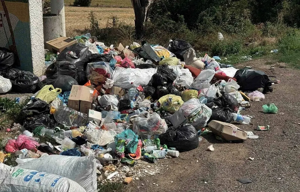 Поблизу зупинки на трасі Київ – Одеса ліквідували несанкціоноване сміттєзвалище