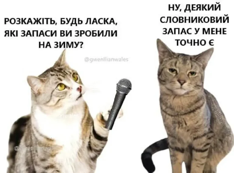 Усмішки Одеси: запаси на зиму, кухонні традиції та ризикові кошти