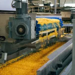 В Одеській області мають намір відкрити завод зі щоденною переробкою сотень тонн кукурудзи