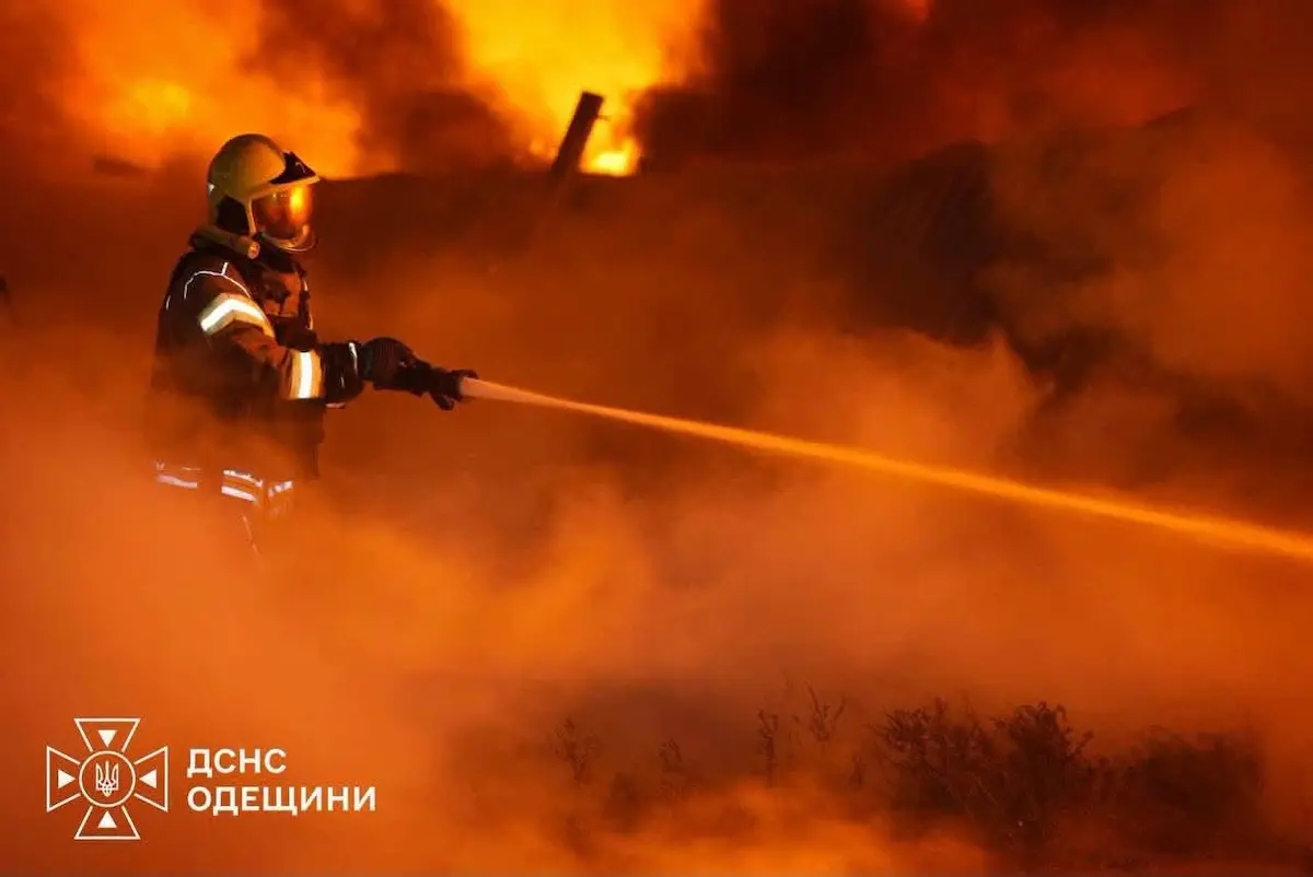 дснс в роботі