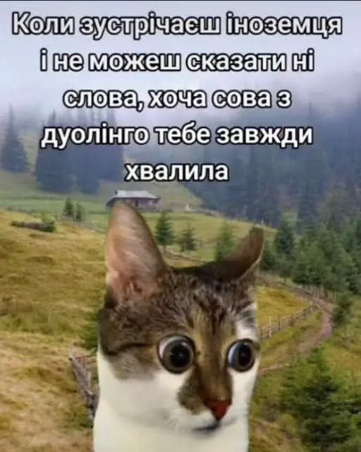 меми, гумор