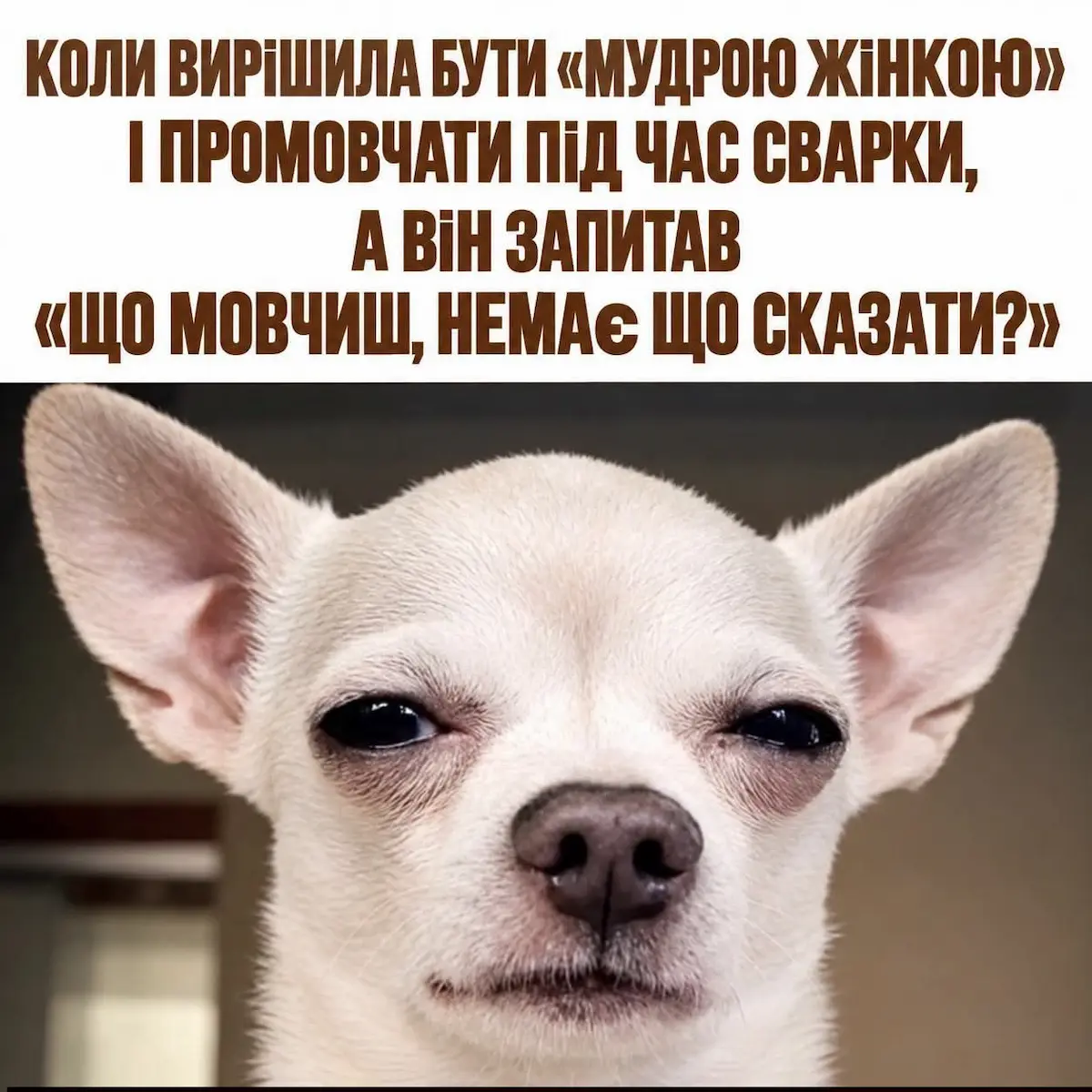 меми, гумор