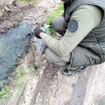 На Одещині виявили забруднення ґрунтів — один показник перевищив норму у 35 разів