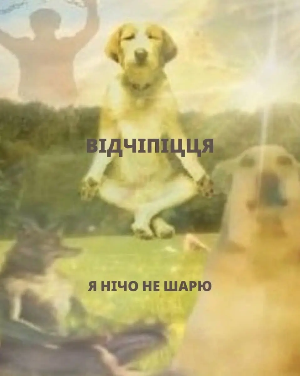 гумор, меми