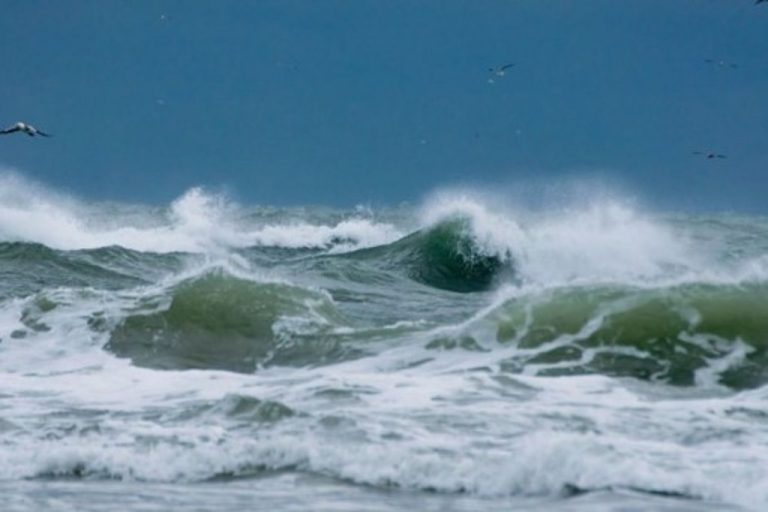 Біля Одеси 28 вересня морська вода охолола