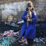 Удари РФ по притулку «Люблячі серця» під Одесою забрали життя 13 тварин