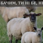 Одеський гумор: офіційний робочий режим не виявлено