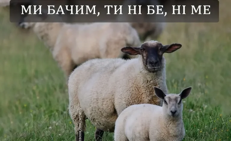 Одеський гумор: офіційний робочий режим не виявлено