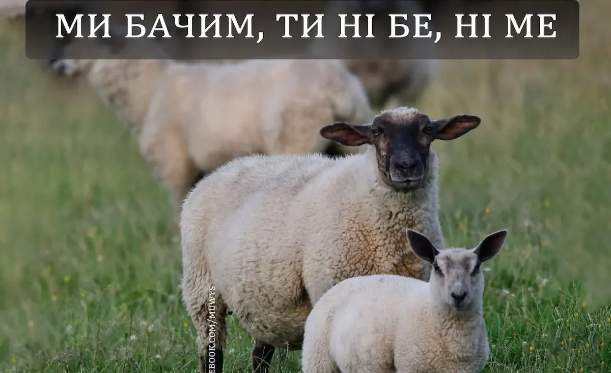 Одеський гумор: офіційний робочий режим не виявлено
