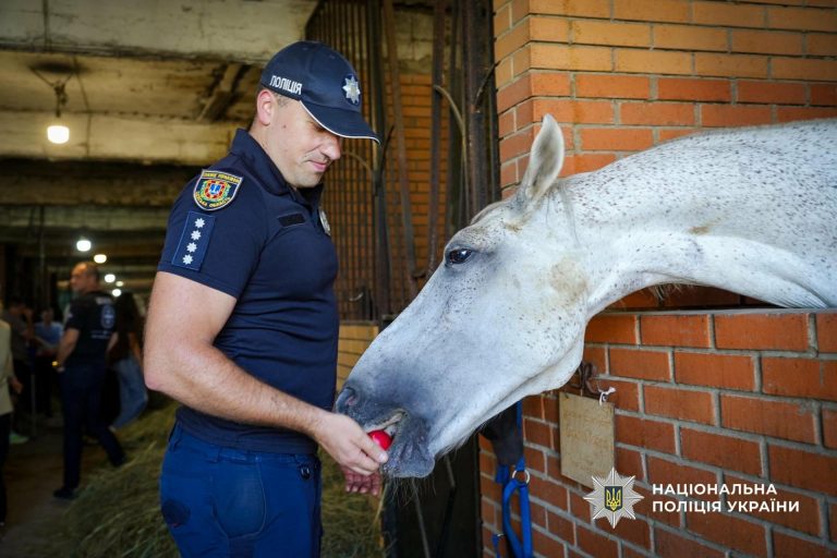 Унікальна реабілітація в Одесі: коні замінюють лікарняні стіни для поранених військових і поліцейських