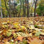 Одеса ввійде в жовтень у теплій атмосфері