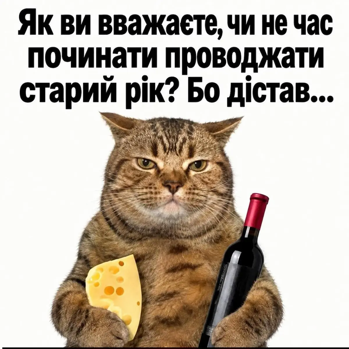 меми, гумор
