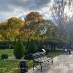 Осінь бере ініціативу: прогноз погоди в Одесі на 15 вересня