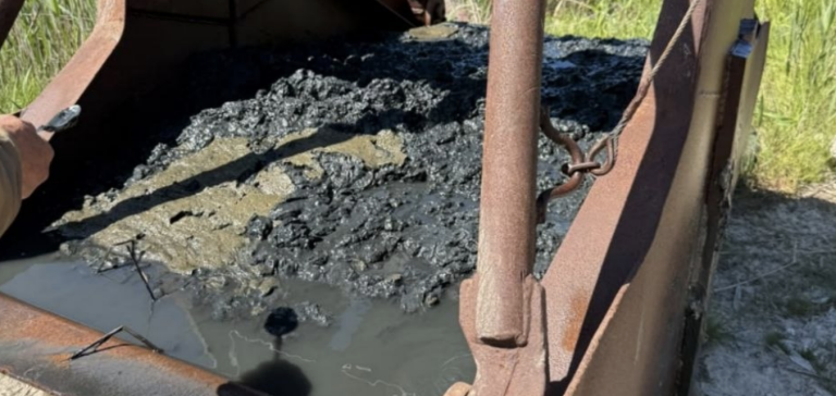 В Одесі викрили схему на 638 тисяч: «лікувальна грязь» виявилася звичайним мулом