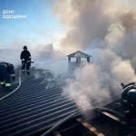 Удар Росії по птахофермі в Одещині: частина свійської птиці загинула (фото)
