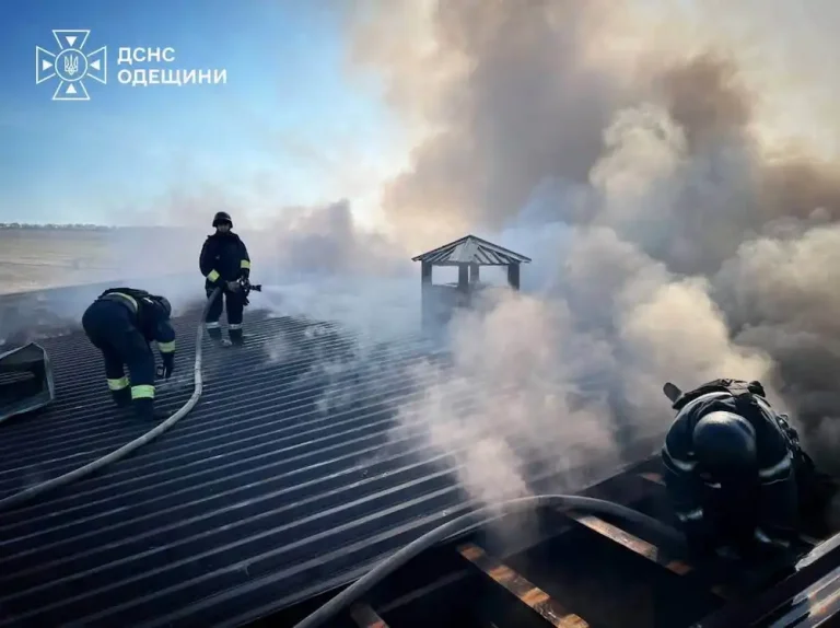 Удар Росії по птахофермі в Одещині: частина свійської птиці загинула (фото)