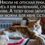 Одеський гумор — календар стверджує осінь, а душа тягнеться до пляжу