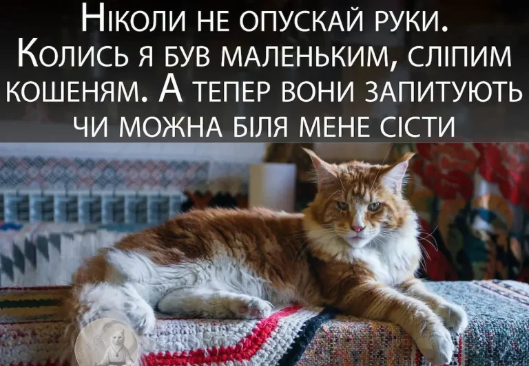 Одеський гумор — календар стверджує осінь, а душа тягнеться до пляжу
