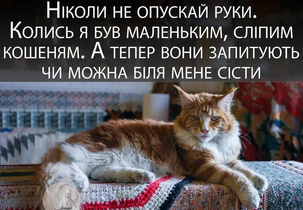 Одеський гумор — календар стверджує осінь, а душа тягнеться до пляжу