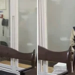 Одеська «муза» та Mercedes за $60 тисяч — що відомо про фігурантку розслідування НАБУ