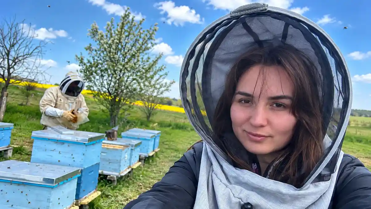 Пасічники з Одещини: три історії про мед, бджіл і людську заздрість