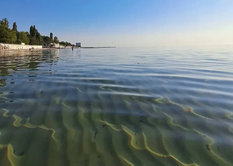 Море поступово холоднішає — температура води біля Одеси 9 вересня